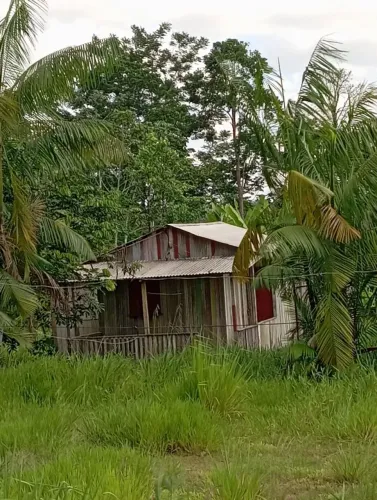 Terreno com casa 