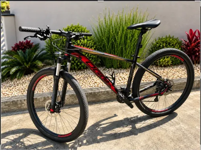 Bike Oggi 7.1