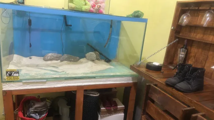 Vendo um aquario grande com canester