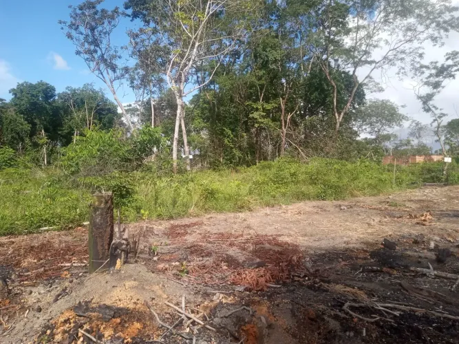 Terreno 