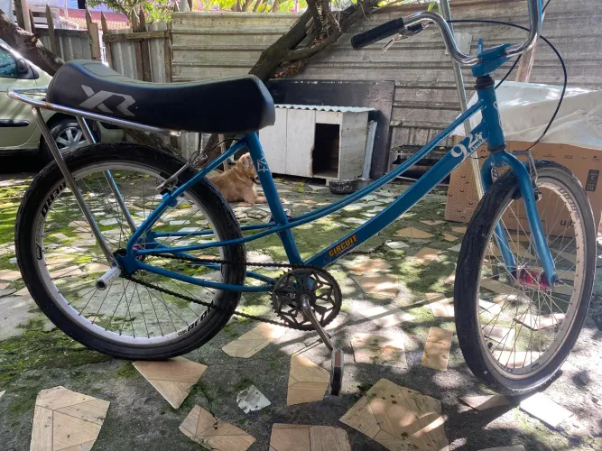 Bike aro 24 ceci