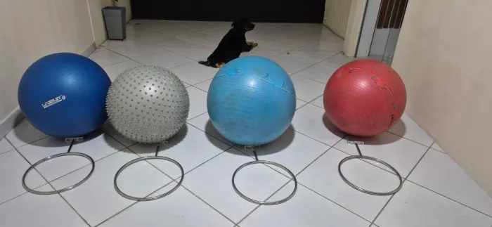 Bolas para exercício com suporte