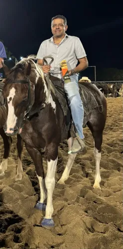 Cavalo Paint Horse