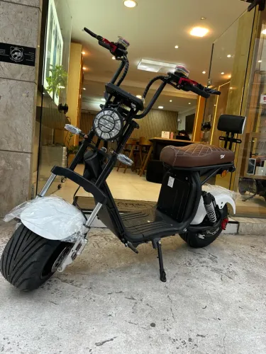Scooter Elétrica Sy X12 1000W 2026