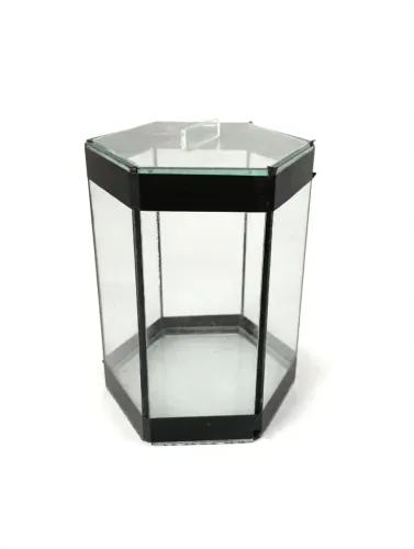 Mini Aquário Se tá adorando 1,3 Litros Betta com tampa de Vidro - Coluna 10,5x14cm