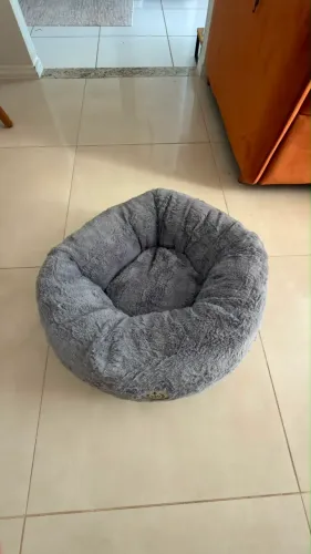 cama para pet