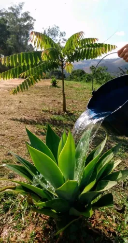 Celular Sansung A02s