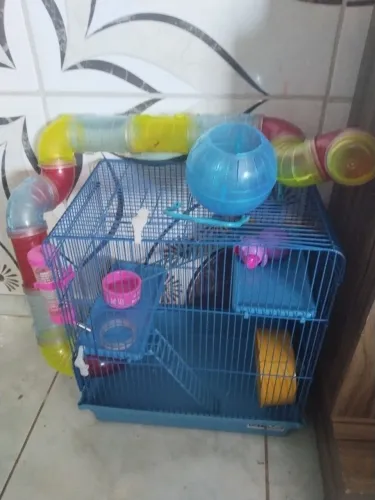 Casinha de hamster