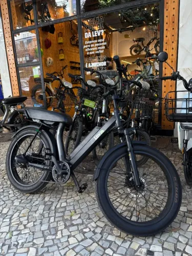 Lev Cruiser S Plus (Bateria 0km) 