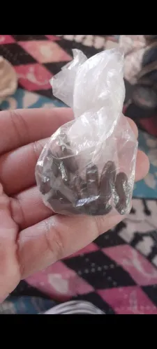 Sementes de framboyant e framboyanzinha e mudas 