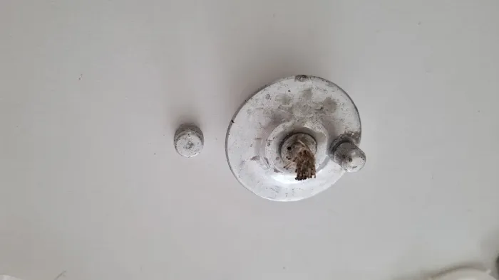 Instrumentais odontológicos 