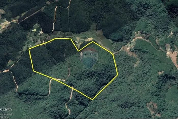Chácara em Tunas do Paraná  Investimento Florestal de Alto Potencial