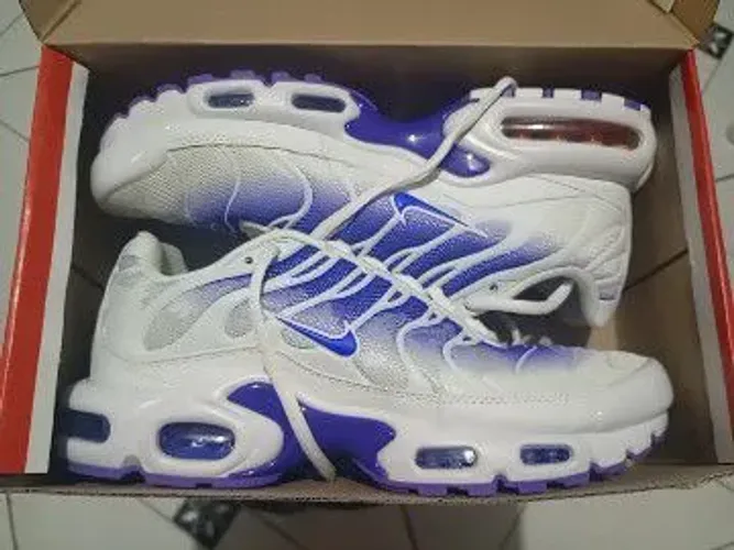 Air Max TN Purple Dragon N°42