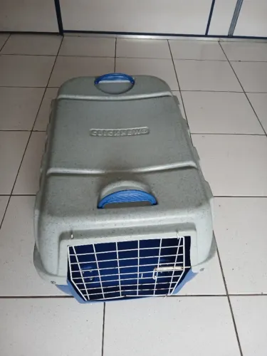 Casinha pet grande