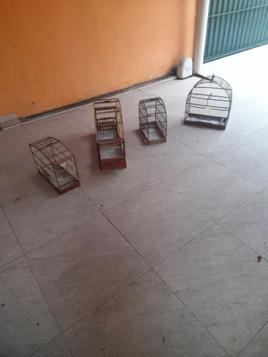 Gaiolas