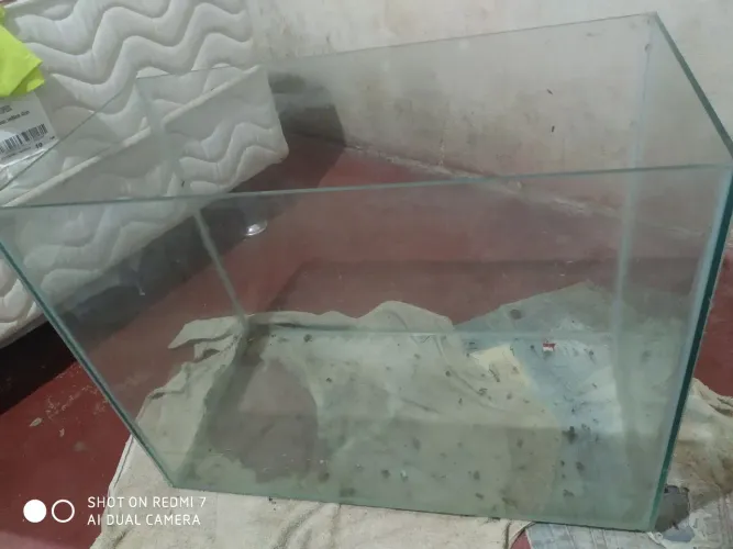 Vendo aquário sem nem um vasamento 