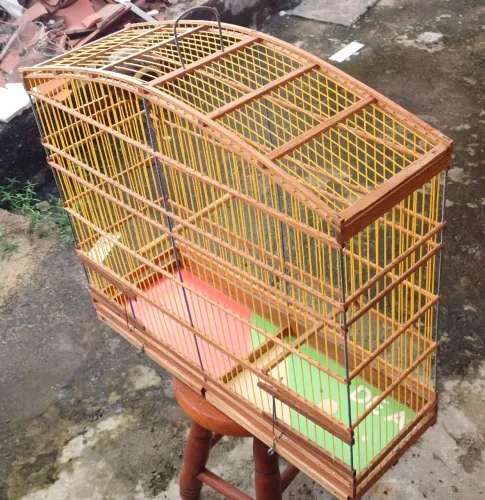 Gaióla pra pássaros!