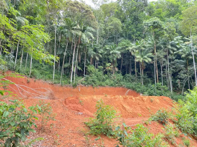 Chácara dos Sonhos em Marechal Floriano - Paz, Sossego e Documentação 100% OK!