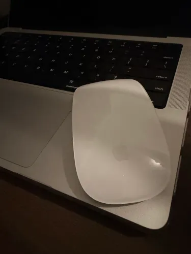 Magic mouse 2