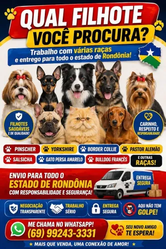 Venda de Filhotes