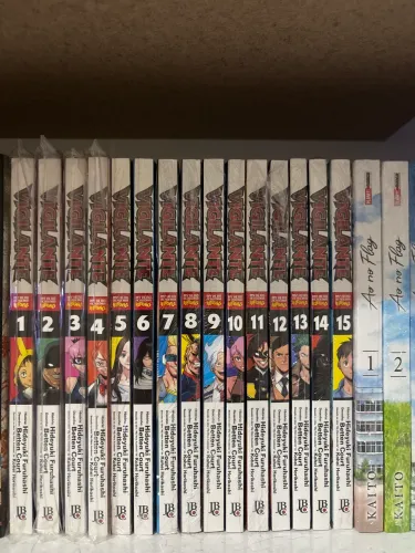 My hero VIGILANTE 1-15