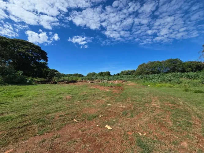 Sítio à venda, Zona Rural - Sidrolândia/MS