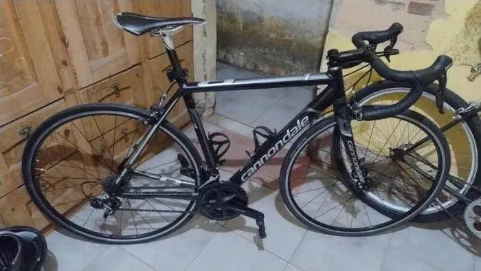 Speed CANNODALE CAAD 8