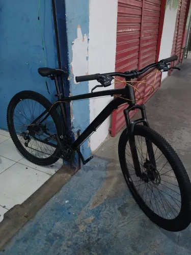 Bike Aro 29 south