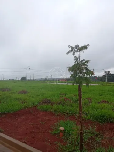 Terreno à venda no Residencial Campo Florido, em Campinas/SP