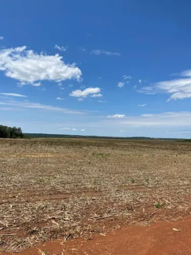 Fazenda 3840 hec 15 ANOS pra pagar, planta 2.210hec.SINOP. MT. R$:2.652.000 sacas soja