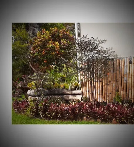 Paisagismo / Jardinagem