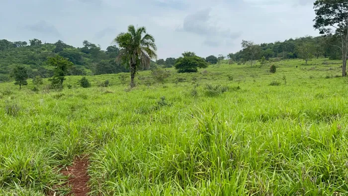 Fazenda de 33.63 alqueires em Trindade-Go