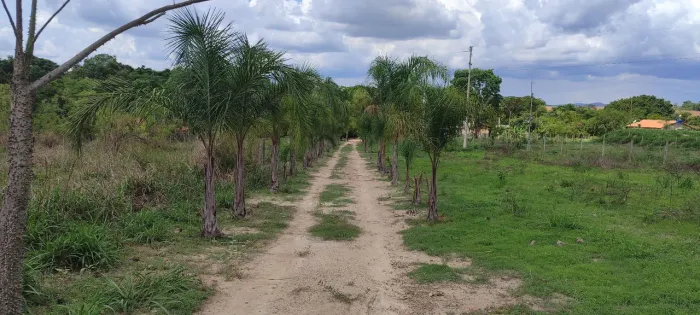 Chácara no Rio dos bois em Cezarina 