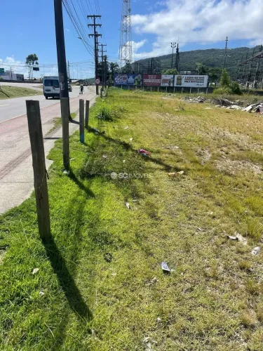 Terreno na SC 403, ao lado da Havan