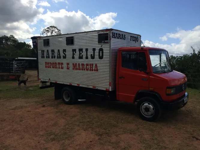 CAVALOS TRANSPORTE ESPECIALIZADO