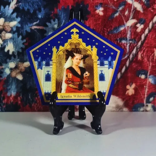 Card ignatia criadora do flú harry potter direto do parque