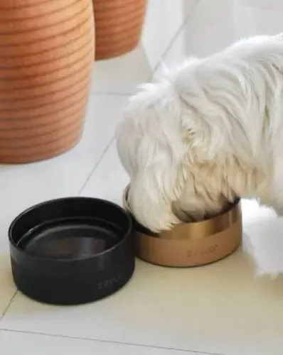 Comedouro para Cachorro - STEEL BOWL