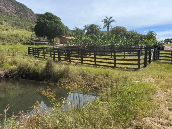 Fazenda - Paranã - TO