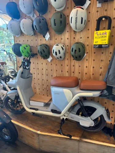 SCOOTER ELÉTRICA.