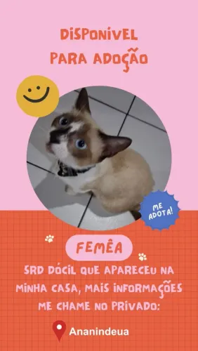 Gata SRD