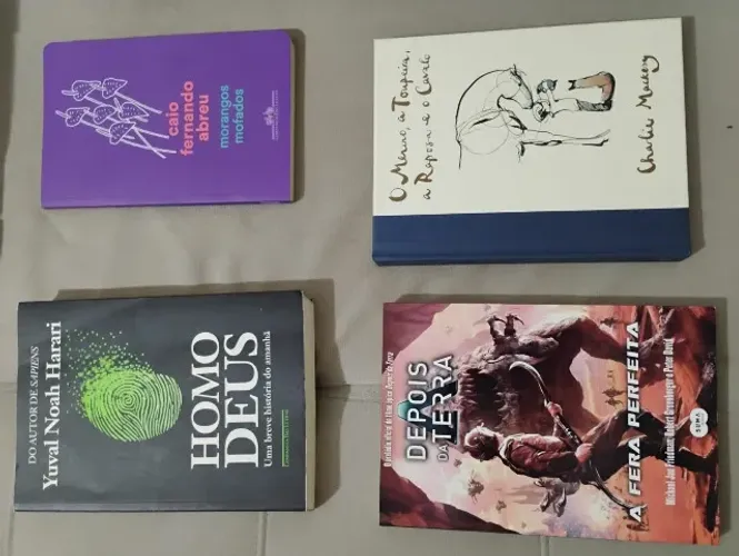 Livros em ótimo estado.