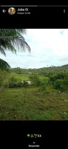 Vendo lotes 400 metros quadrados ótima localização bom pra quem vai investir