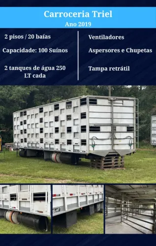 Carroceria de suinos