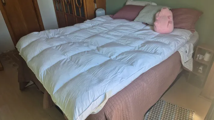 Pillow Top Queen Size Daune - 100% Plumas de Ganso | Excelente Estado