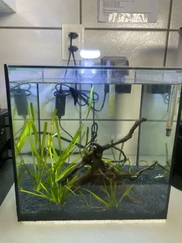 Aquario 30 litros
