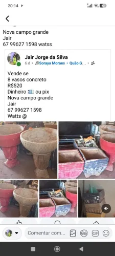 Vasos concreto plantas