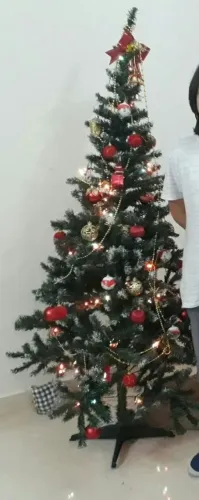 Árvore de Natal Canadense