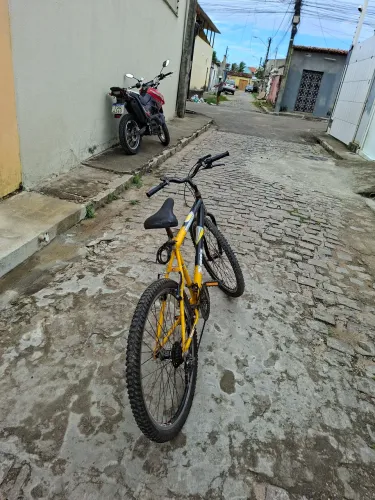 Bicicleta