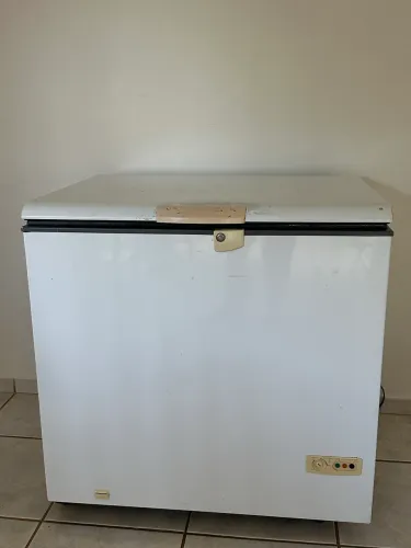 Freezer horizontal