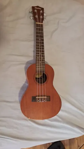 Ukulele Concert Shelby